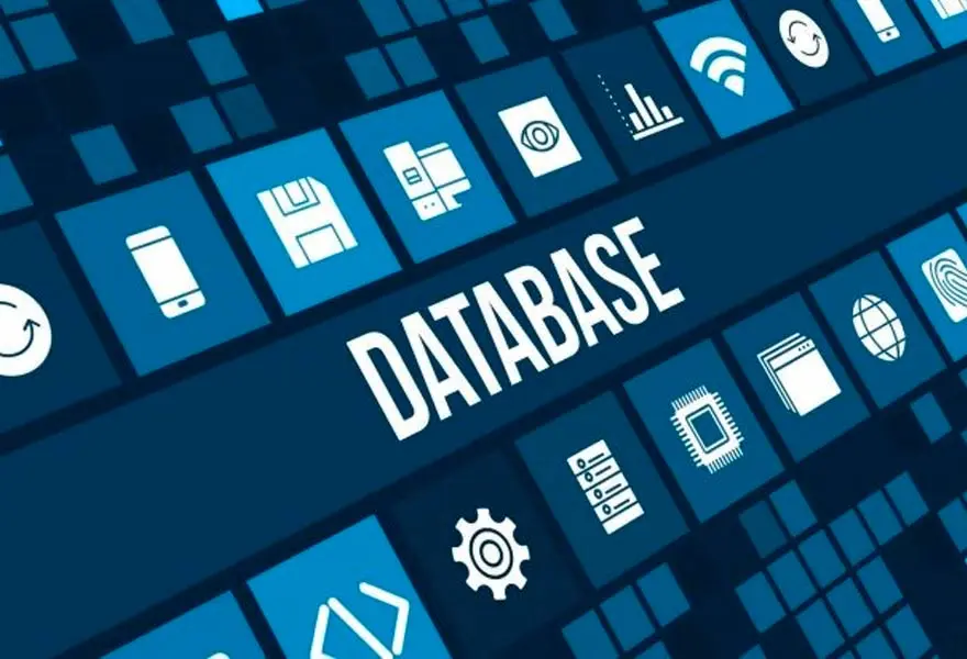 bases de datos